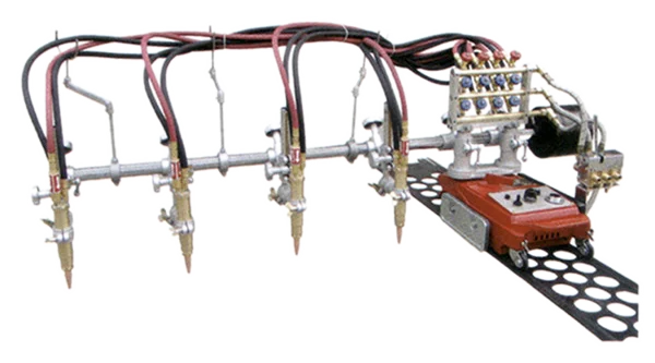 Tortuga Cortes MULTIFLAMA GCD5-100